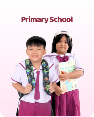 Primary School Background
