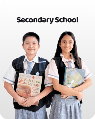 Secondary School Background